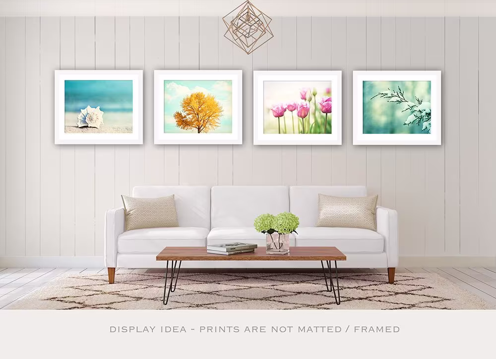 Four Seasons Wall Art - Set Of Prints, Photography Nature, Living Room Decor