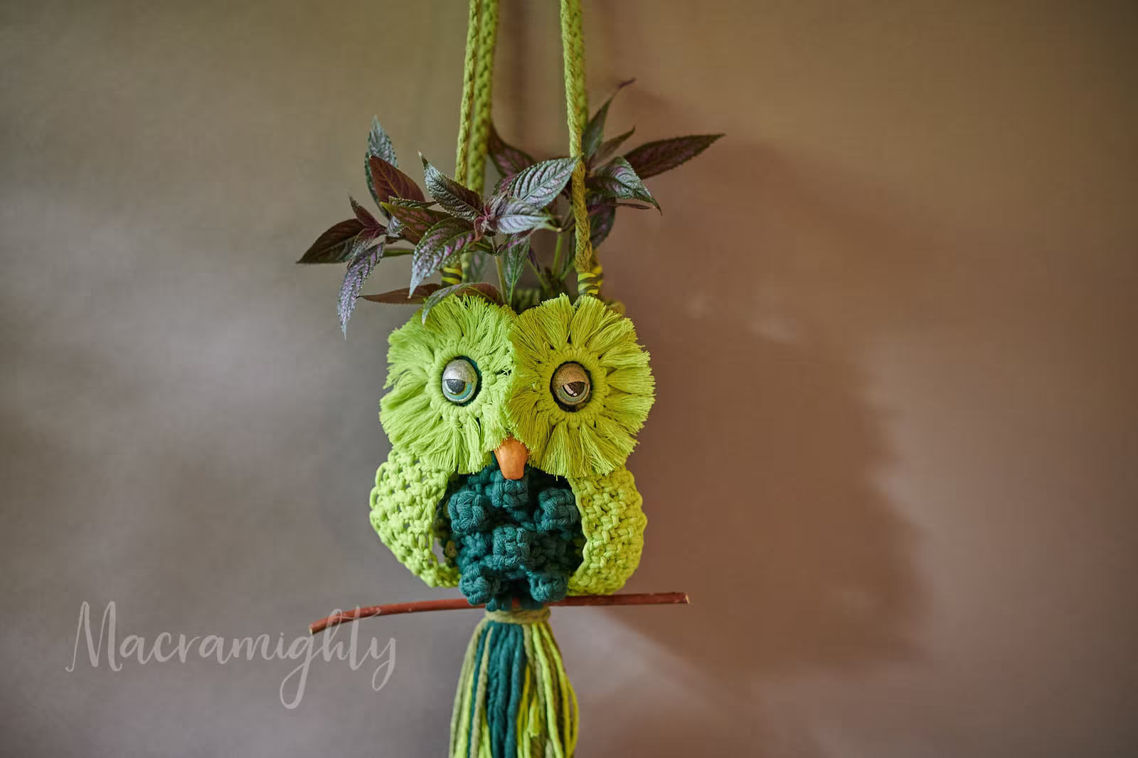 Larry - Lime & Spruce Owlie