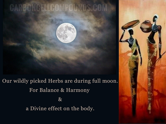 Ancient African Spiritually Cleansing Herbs | - Free International & Domestic Shipping Applies