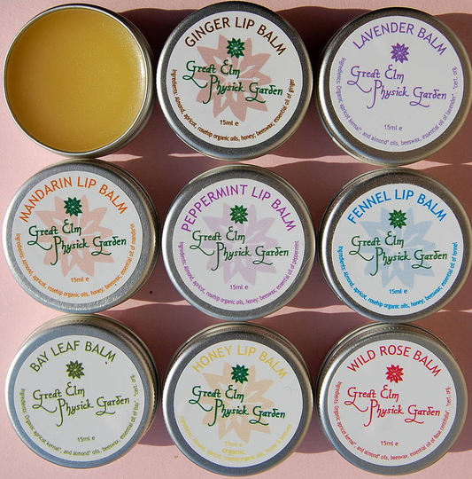 Honey And Rosehip Organic Lip Balm
