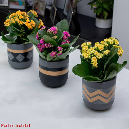 Three Set Of Small Ceramic Indoor Plant Pots
