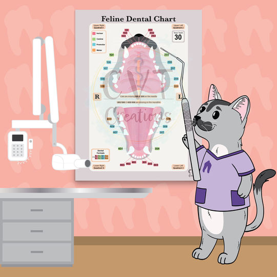 Feline Dental Chart Print