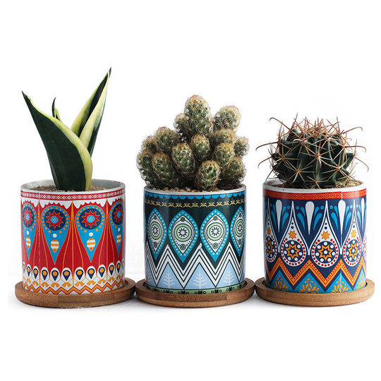 Perle Rare - 3 Pack Succulent Plant Pots, 8cm Round Ceramic Cactus Planters with Bamboo Trays and Drainage Hole.
