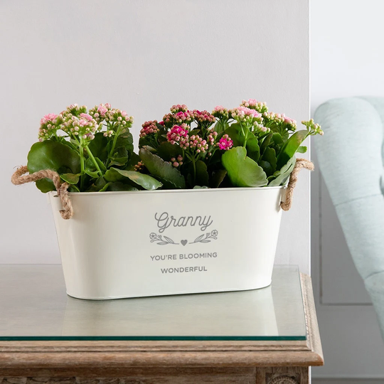 Engraved Flower Plant Pot