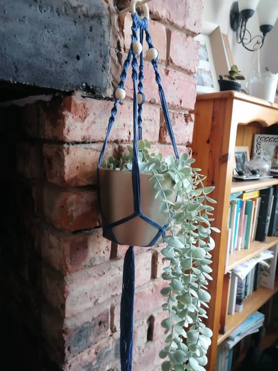 Macrame Plant Pot/Vase Holder
