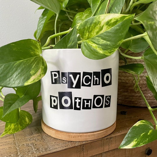 Psycho Pothos Planter, 5 Inch Succulent Cute Plant Pots, Funny Flower Pots
