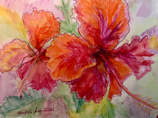 Red Hibiscus Watercolor Painting - Orange -Tropical Flower Art Tropical Flowers