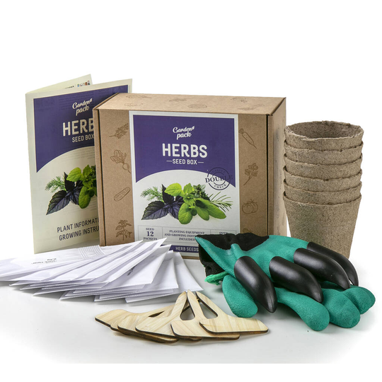 Herb Seeds And Accessories Kit 12 Varieties