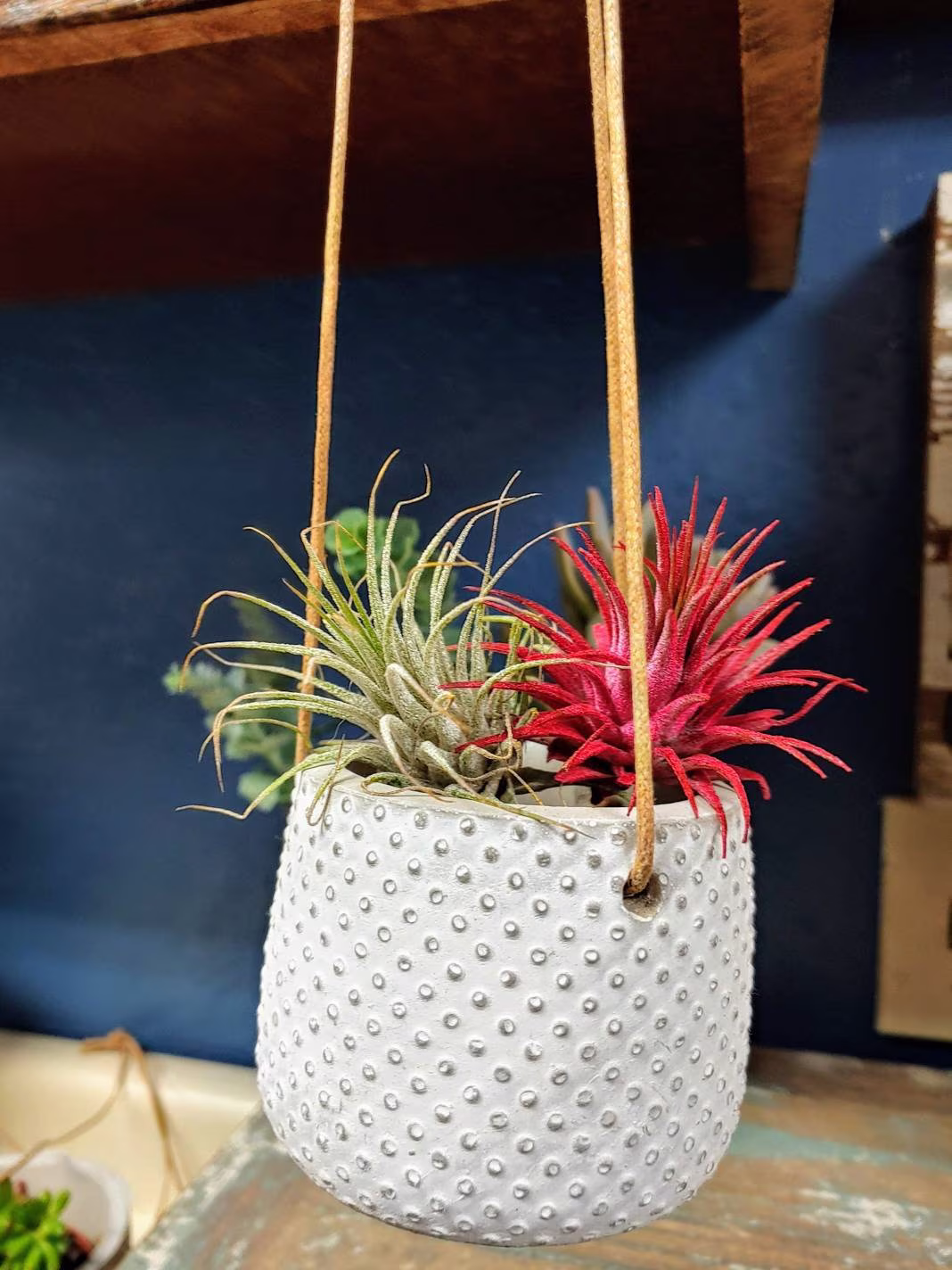 Mini White Polka Dot Hanging Succulent Pot | Mini Planter 2.5