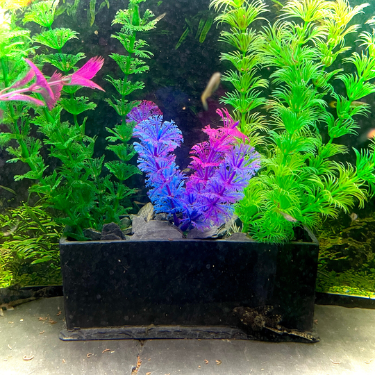 Handmade Natural Slate Aquarium Planter 20x7x8cm - Discus, Tropical, Cold Water, Catfish, Plecos, Free P&p