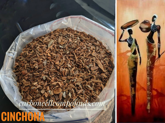 Cinchona Bark - Natural Quinine | Origin. South Americas Mountains | Free Intn'l Shipping(For Orders Up To 99 Dollars