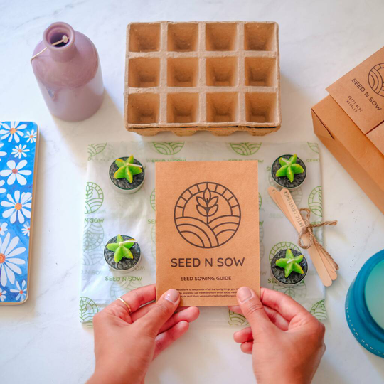 Grow Your Own Herbs And Vegetables Seed Kit