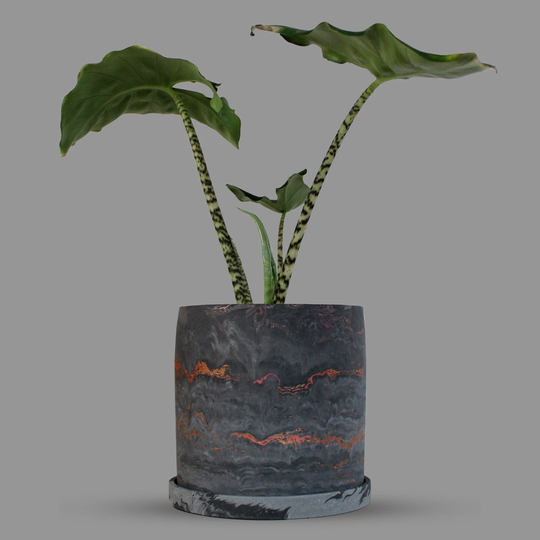 Black Marbled Plant Pot With Saucer | Indoor Planter Drainage Succulent Cactus Gifts For Lovers
