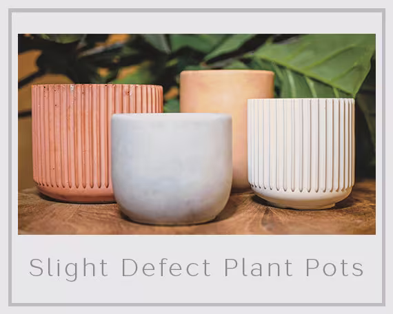 Slight Defect Plant Pot | Concrete Planter Succulent Indoor Medium Small Large