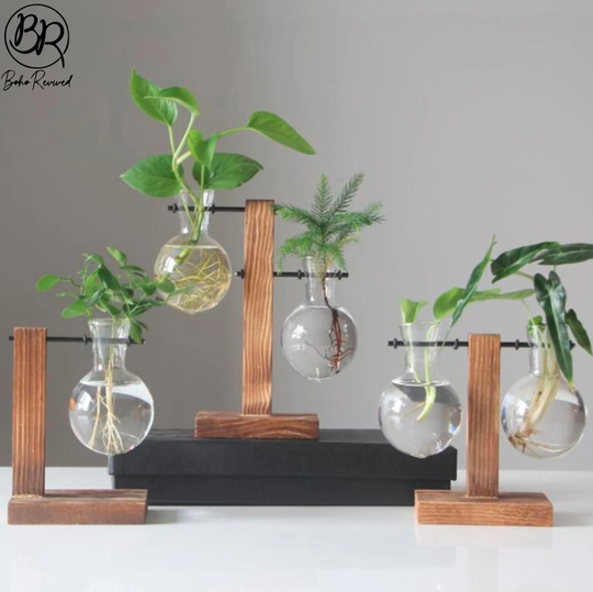 Glass Propagation Vase Bulbs With Wood Stand, Stylish & Beautiful, Office Home Decoration