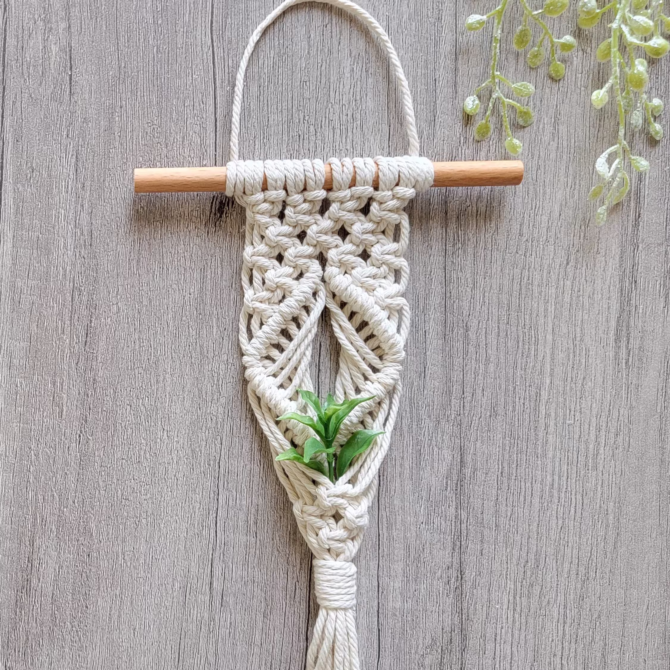 Macrame Air Plant Hanger | "Cascade
