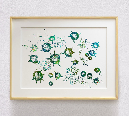 Microscopy Art Print Acid Ammonium Urate Crystals Microscopic Medical Watercolor Poster Science Wall
