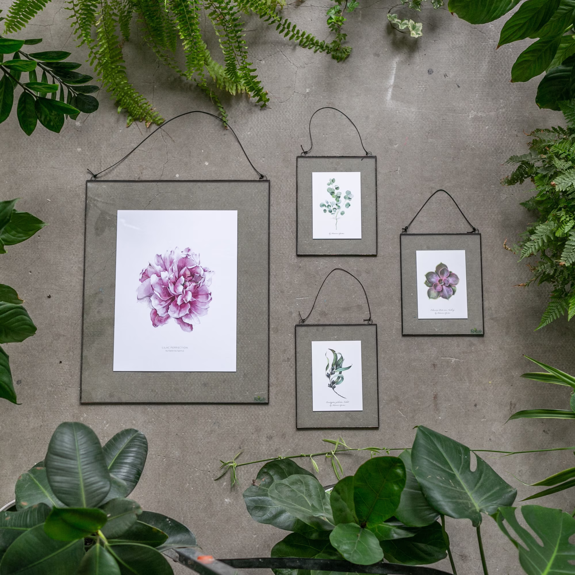 Wall Hanging Plant Print, Set Of 4, Stained Glass Botanical Art, Framed Apothecary Herb Decor, Floral Floating Frame