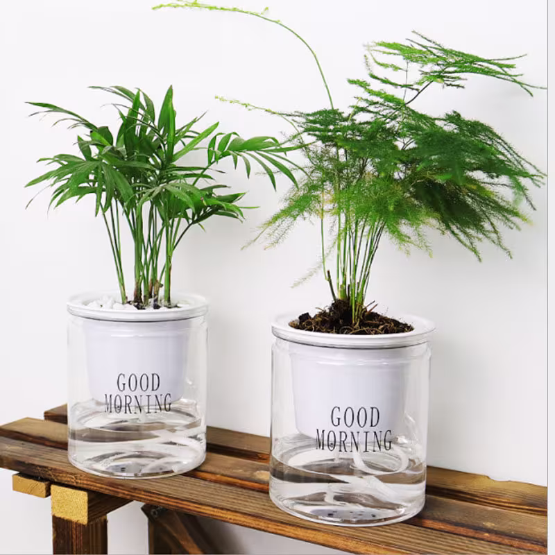 Good Morning Self-Watering Planter Pot