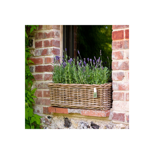 Levisham Rattan Window Box Planter