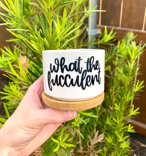 What The Fucculent Succulent Planter | Flower Pot Plant Lady Funny Planters Plants Cactus Gifts For Her Him Succs
