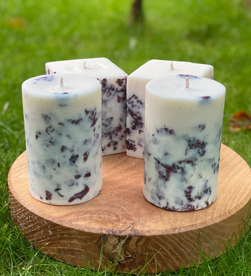 Poppy Soy Candles, Botanical Gift, Decor, Floral Dried Flowers
