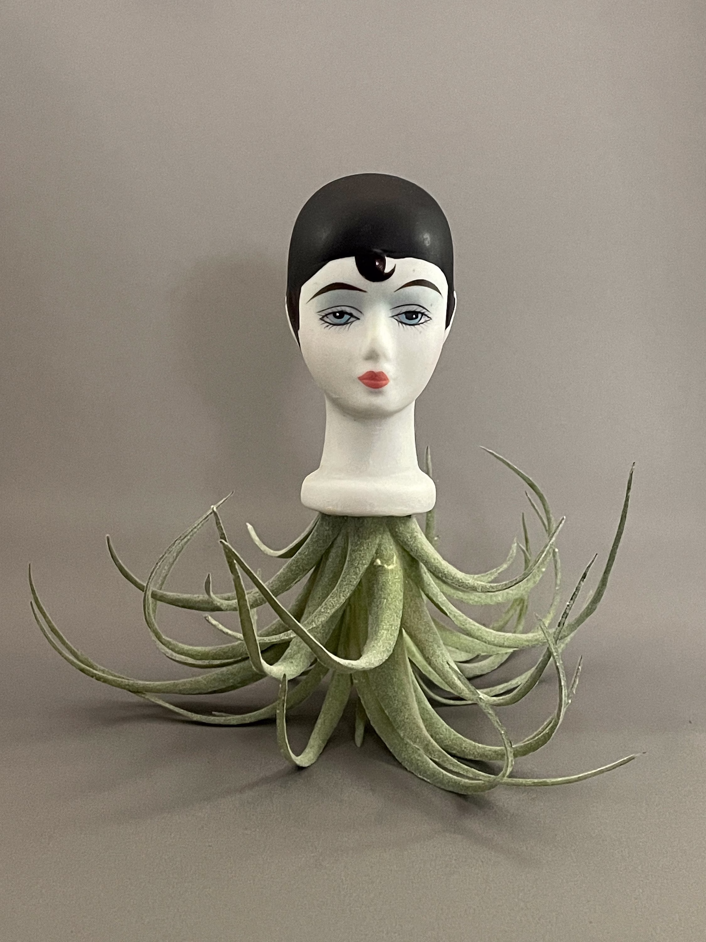 Sirara Harlequin Dollhead Planter