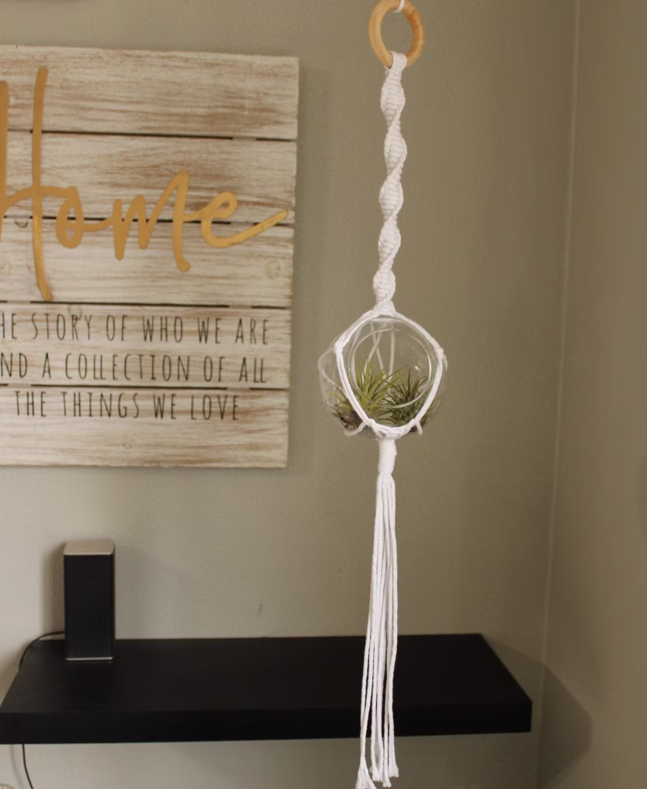 Hanging Glass Terrarium - Large