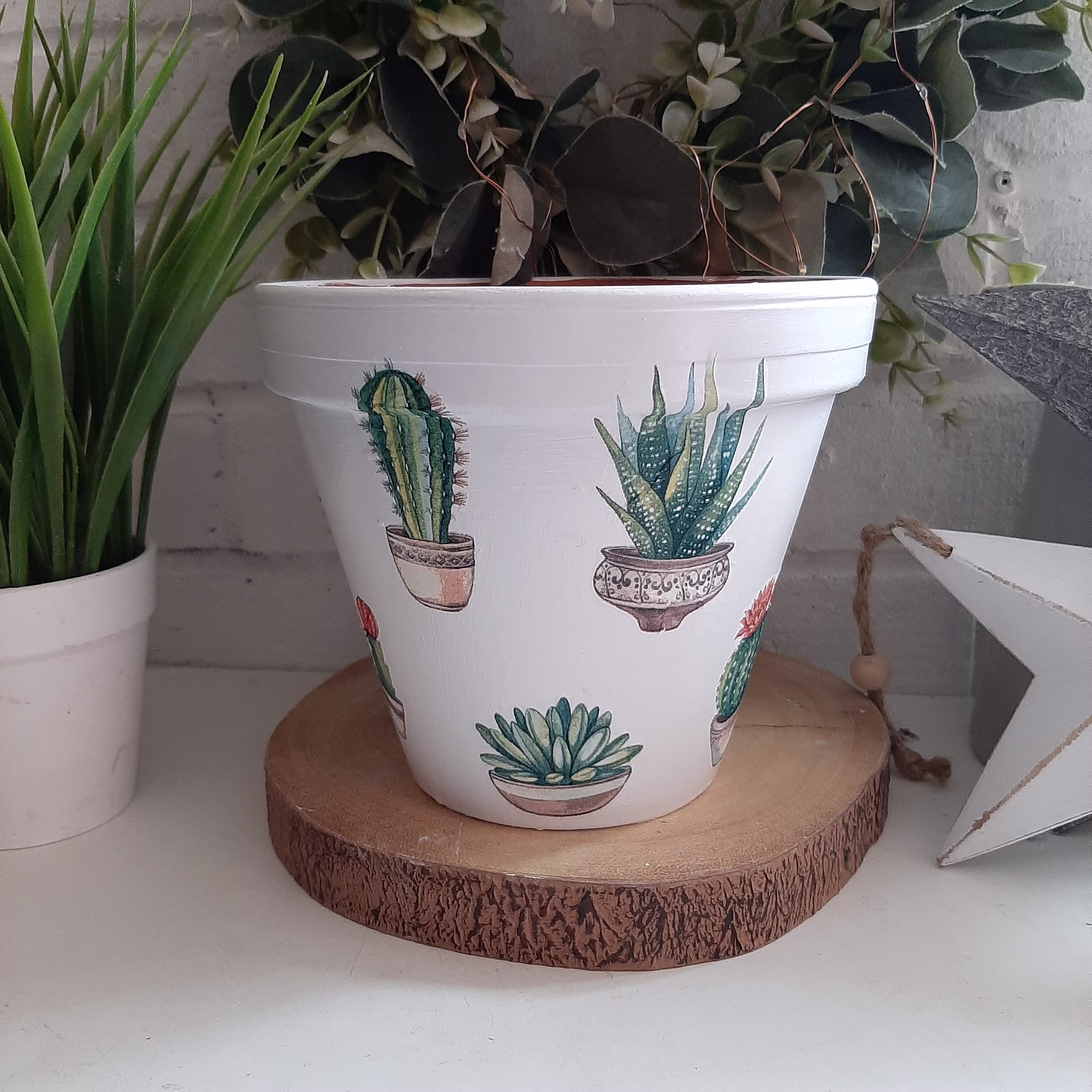Beautiful Cacti Hand Painted & Decoupaged Terracotta Flower Pot. Matching Items Available