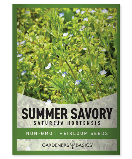 Summer Savory Seeds For Planting - Heirloom, Non-Gmo Herb Great Indoor, Outdoor, & Hydroponic Gardens