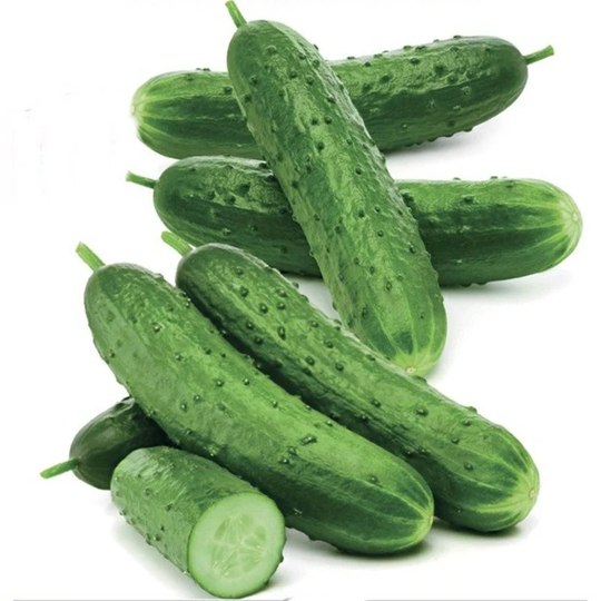 Cucumber Zozulya Plus Seeds Hybrid Non Gmo For Planting | 204689