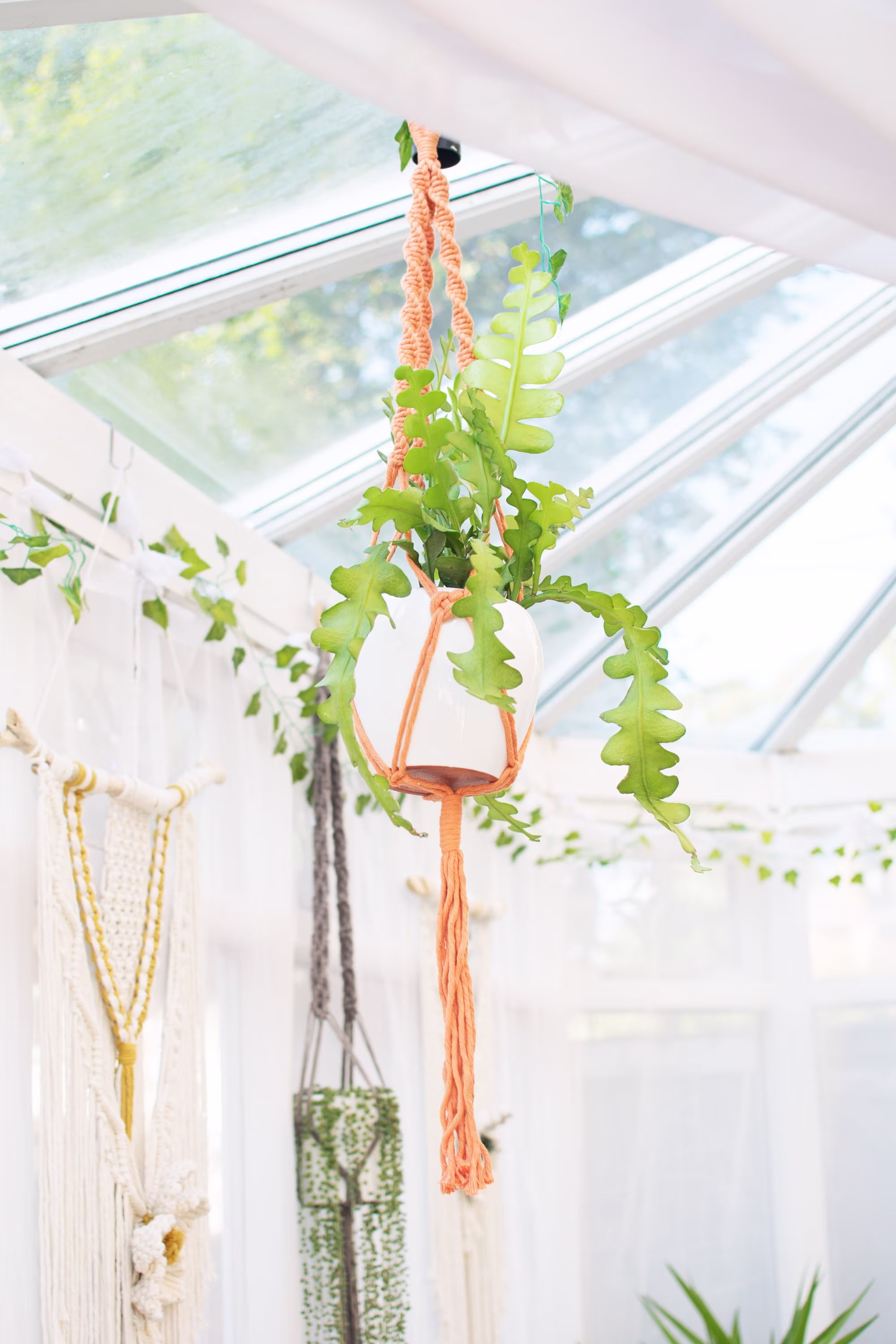 Peach Macrame Plant Hanger, Succulent Holder, Ceiling Danish Pastel Decor, Room Decor For Teens