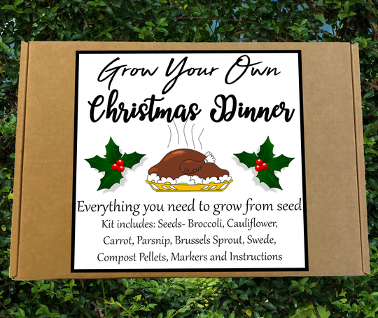 Grow Your Own Christmas Dinner Seed Kit | Gardening Box Birthday Gift Allotment Vegetables Sustainable Living