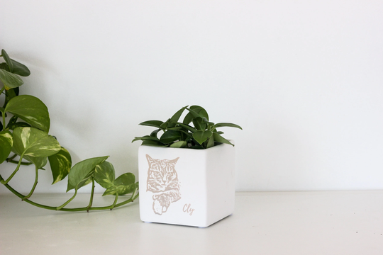 Cats, Dogs & Pets Gift Personalized | Engraved Custom Cube Planter Pot