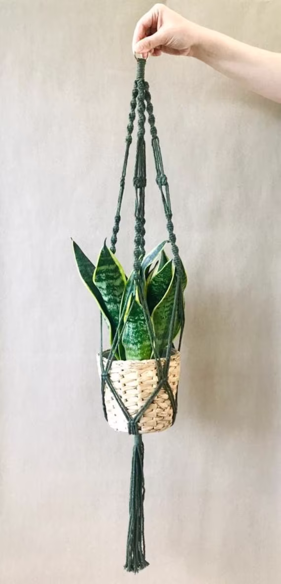 Macrame Plant Hanger, Colour House Plant Hanger, Indoor Planters, Macrame, Gift, Handmade, Cotton Cord