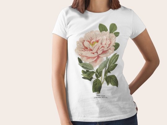 Tree Peony | 1896 - Unisex Organic T-Shirt, Vintage Style Botany T-Shirt, Floral T-Shirt