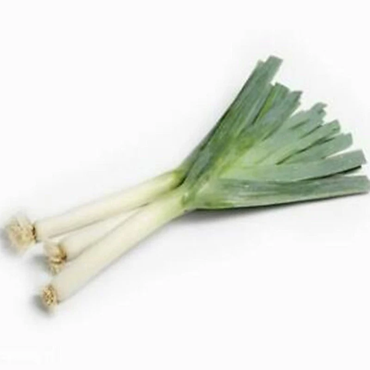Leek Holet Seeds Open-Pollinating Non Gmo For Planting | 204378