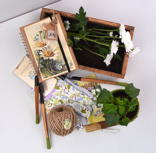 Grow Your Own Daisies Gardening Gift Set
