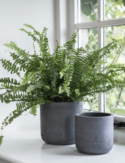 Large Cement Straight Plant Pot - Carbon