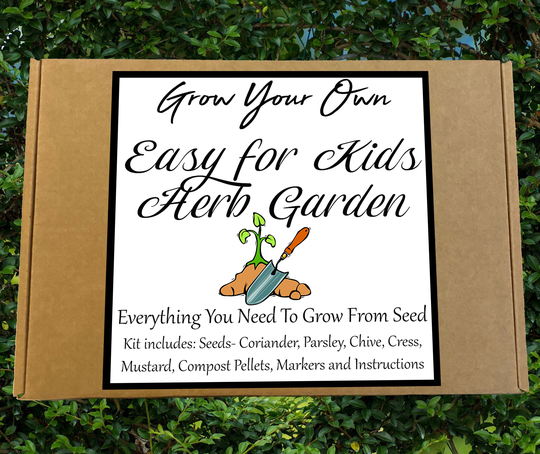 Sale - Easy For Kids Herb Garden Seed Kit | Grow Your Own Herbs Childrens Outdoor Activities Games Plants Home Grown