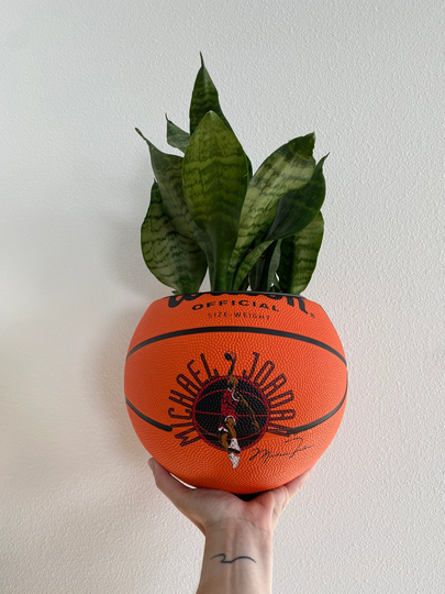 Michael Jordan Planter/ Full Size Basketball/Vintage Ball Plant Holder Home Decor Upcycled