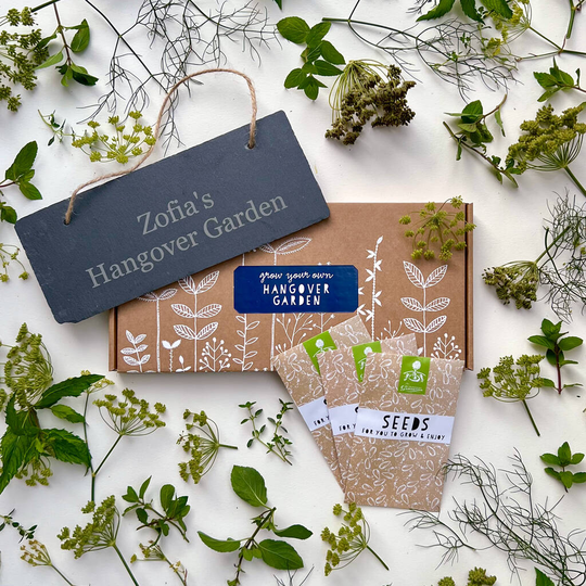 Grow Your Own Hangover Recovery Garden Gift