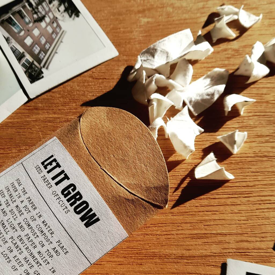 'Let it grow' Wildflower Seed Off Cuts