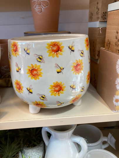 Indoor Bee Planter