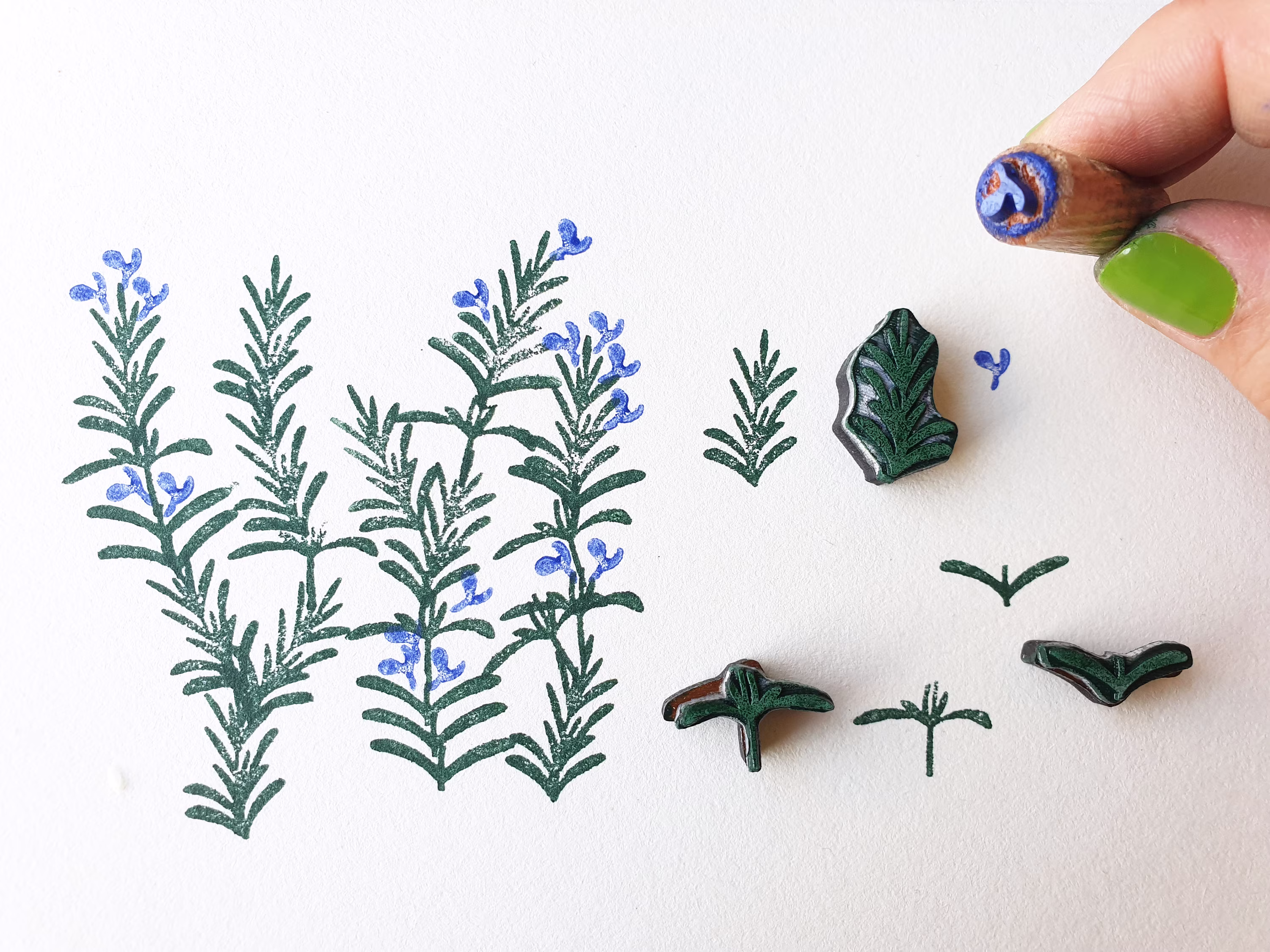 Rosemary Plant Stamps, Kit Of 4 Floral Stamp, Medicinal Plant, Decorative Rosemary Spice Design Stamp