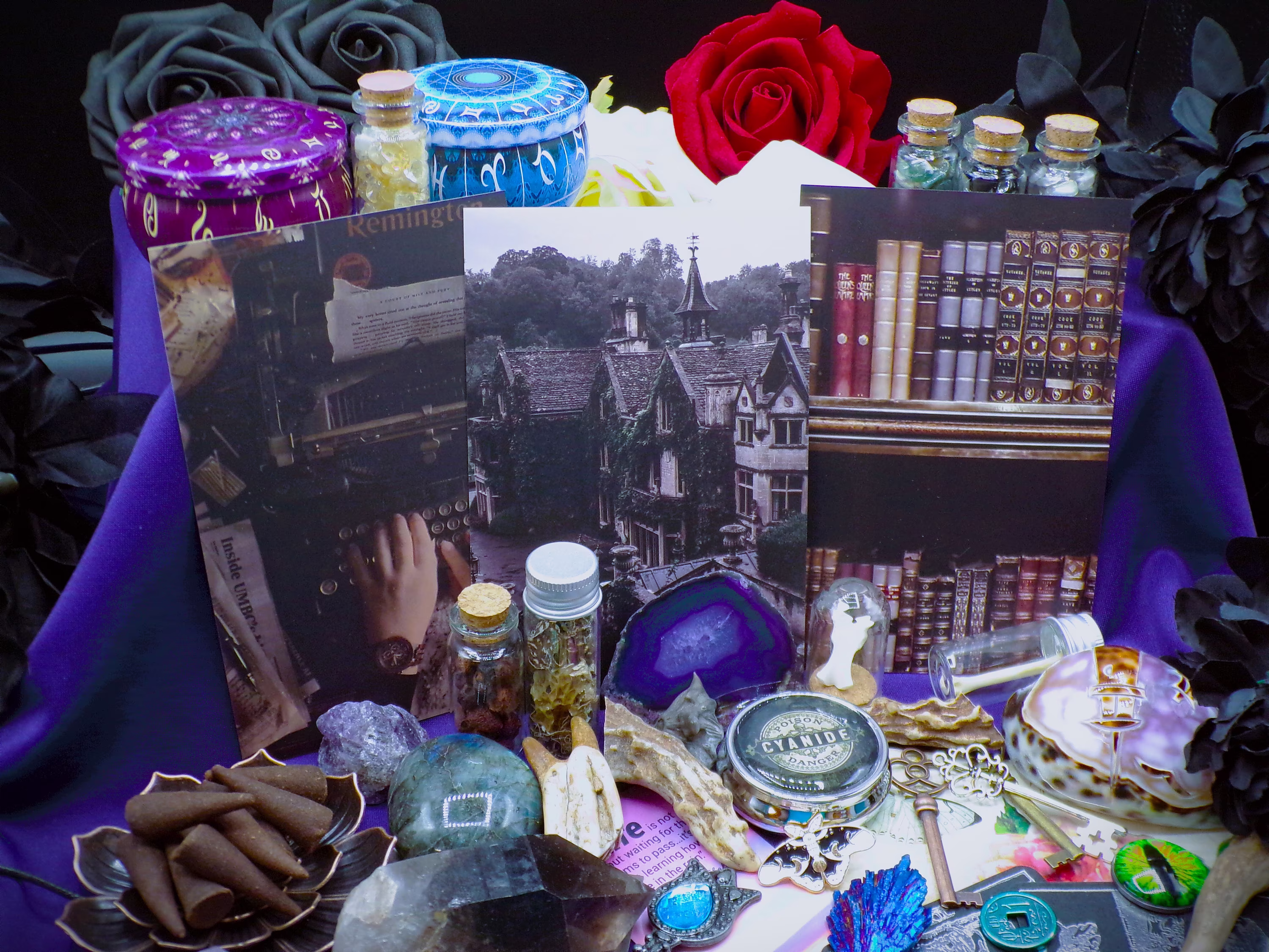 Mori Kei Curiosity Box | Goblincore Curiosity Cabinet Vulture Culture Forest Witch