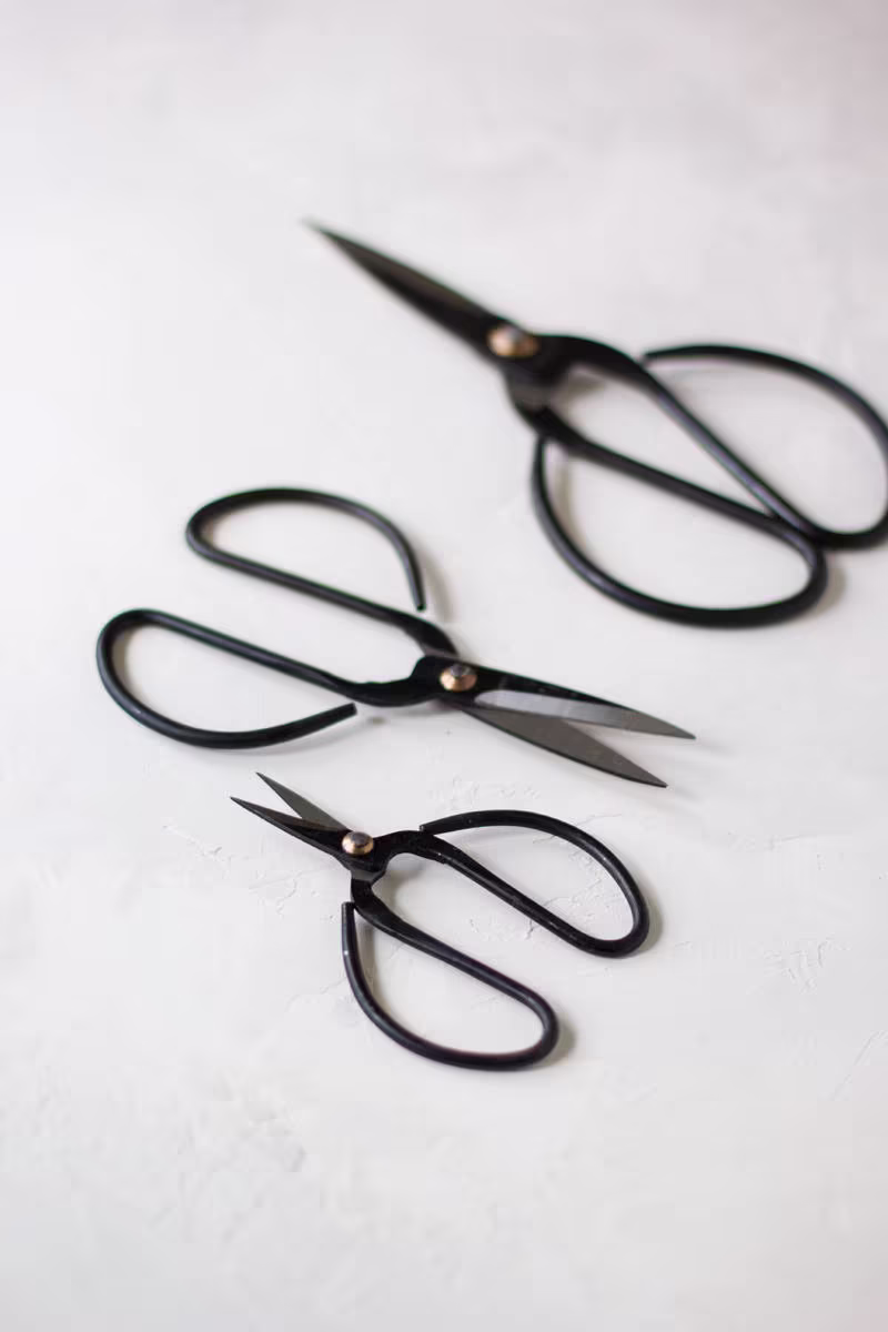 Vintage Finish Black Bonsai Garden Shears | Scissors Small 4"/Medium 6" Large 8
