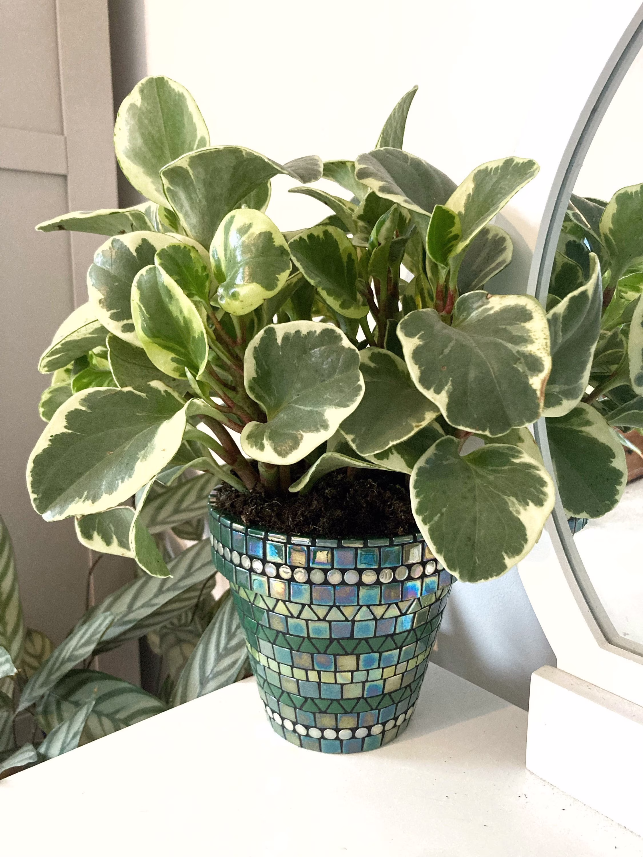 Handmade Green Mosaic Indoor | Outdoor Plant Pot Home Decor Gift Idea Planter