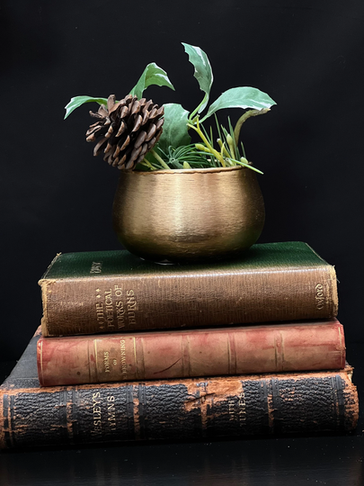 Gold Rustic Plant Pot - Small Indoor Planter Brushed Metal Finish Christmas Festive House Glazed Metallic