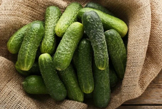 Cucumber Seeds Granddaddy F1